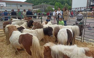 Giro bustiarekin iragan da Berako IX. Azienda Feria