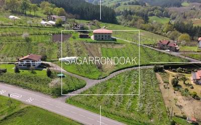 'Goitik begira': Sagarrondoak