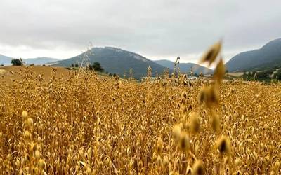 Arratsaldean garbituko da zerua