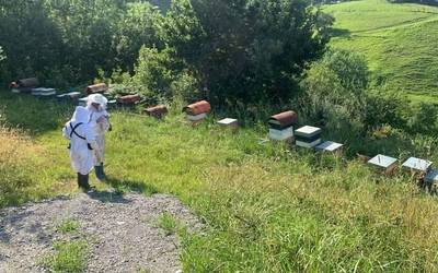 Uztaileko Zumaia Guka aldizkariaren aurrerapena: Erlezainak Amezmendin