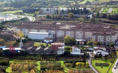 Beldar-plaga kontrolatzeko esku hartzea egin dute San Fauston