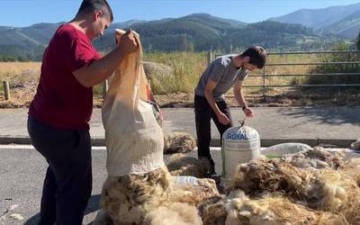 Debagoieneko 40 artzainen artilea bildu dute