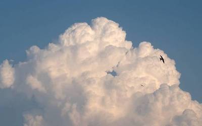 Badaezpada ere, euritakoa eskura