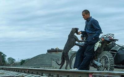 'Black dog' pelikula: Izaki bakartiak