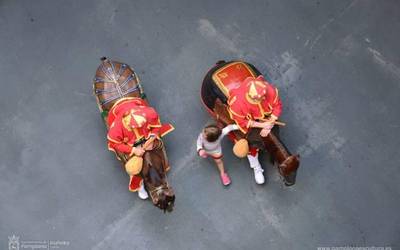 Erraldoiek Miserikordia Etxea bisitatuko dute gaur