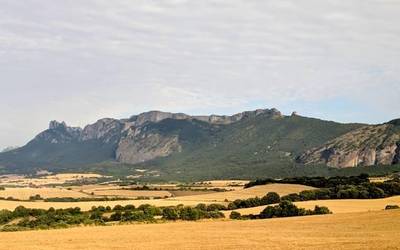 Zertxobait nahasiko da