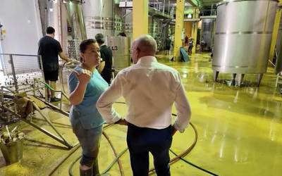 Ekaitzek gogor kolpatu dituzte Arabako Errioxako mahastiak