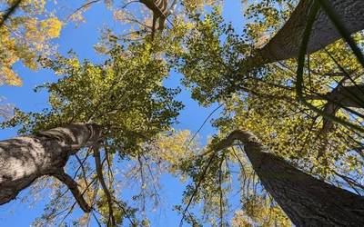 Egun eta erdiz, Eguzkipean