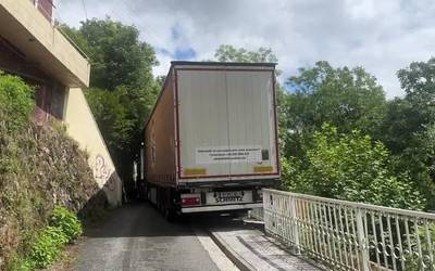 Kamioia trabatuta Olean