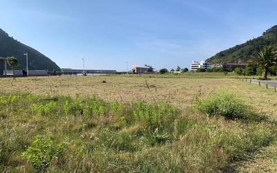 EAJk parapenteentzat baimendutako lurreratze eremuaren erabakia berrikustea eskatu du