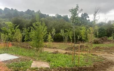 Berangon Itze ibaiaren pasealeku berria eraikitzen hasi dira