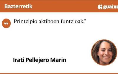 Printzipio aktiboen funtzioak