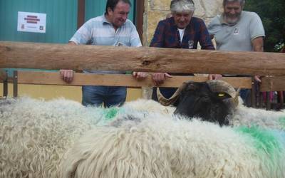 Artzai Eguna berezia