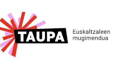 TAUPAK, AZKEN EPAIAREN HARIRA