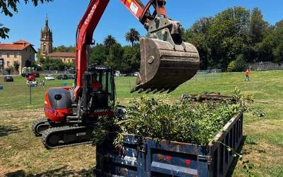 Lantzarte Bizirik elkarteko auzokideek berdeguneko zuhaitzen mozketa etetea lortu dute