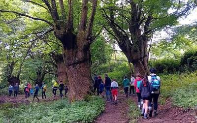 Virginia Iragi (Sutraiak): “Gure haurren heziketa eskolatik haratago ireki eta ingurunera konektatu nahi dugu”