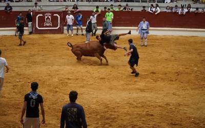 Ausartentzako tartea Iradier Arenan