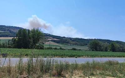 Iñigo Balbas (suhiltzailea): "Gobernua suteak prebenitzeko etxeko lanak egin gabe iritsi da uda garaira"