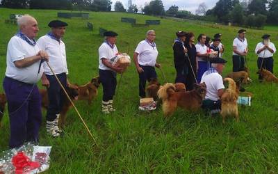 Bizkaiko ardi-txakurren txapelketa Mallabian jokatuko da hilaren 17an