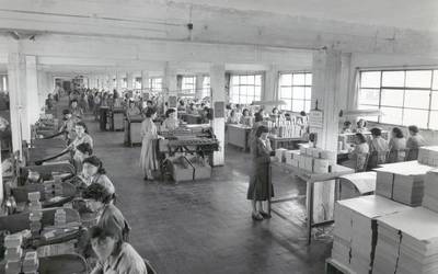 Estalitako protagonisten historia, azalera