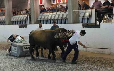 Elorrietaren idien lana izan da onena probaren lehen egunean