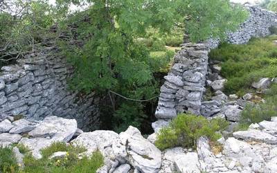 Otso-zuloak, milurteko borrokaren lekukoak