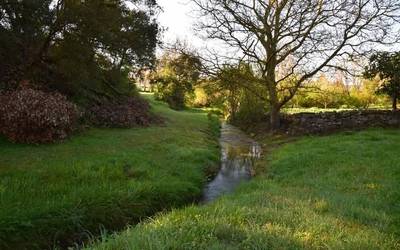 Iragan urrun baten lekuko