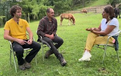 Behorren laguntzarekin basoak garbitzen