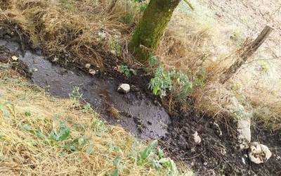 Minda isurketak Oskotzen, berriz