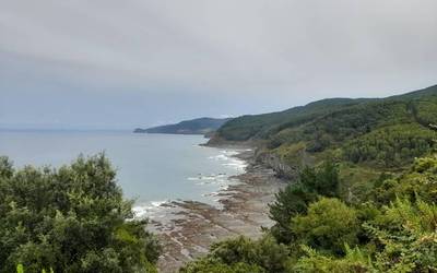 Butroi ibaian kutsadura salatu dute interkonexio elektrikoaren lanengatik, Lemoizera ere iritsiz