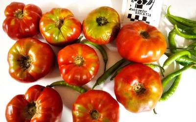 Abuztuaren 31an Tomate zaharraren lehen lehiaketa Donezteben