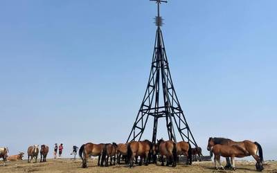 Arkaitz Aranaren udako argazkiak