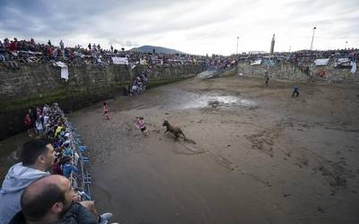 Sokamuturraren aldeko zezen elkartea sortu dute Getxon