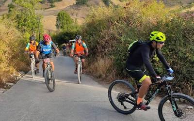 La Peluso BTTXtrem, bertan behera