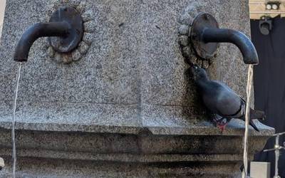 Bero-boladen ondorioak areagotzea leporatu diote Gasteizko Udalari