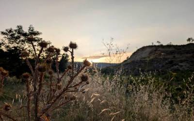 Bero handiagoa espero da