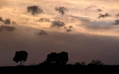 Gaurkoz, hodeiak bueltaka