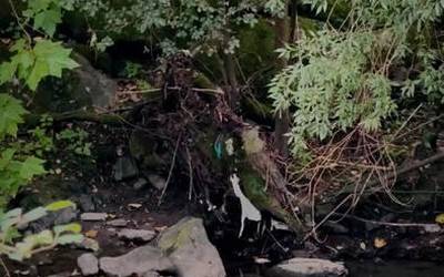 Iraileko Azkoitia Guka aldizkariaren aurrerapena: Ibai ertzeko zaborra