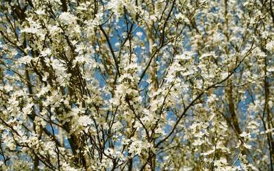 'Gereziondoa' erakusketa «bitxia» bihartik irailaren 27ra arte Arizkunenean ikusgai egonen da