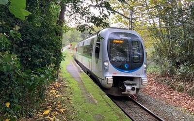 Gaueko tren zerbitzu berezia jarriko du Euskotrenek bihar, Zarauzko Euskal Jaia dela eta
