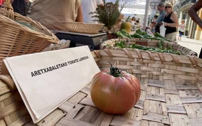 Tomatearen Eguna domekan, Aretxabaletakoa ardatz