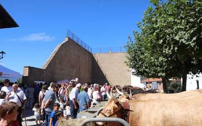 Azienda, eta gehiago