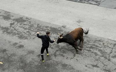 Sanmartinetako sokamuturra, argazkitan