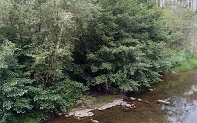 Kejie ta desditxie: "Urola ibaia, landarediaz beteta"