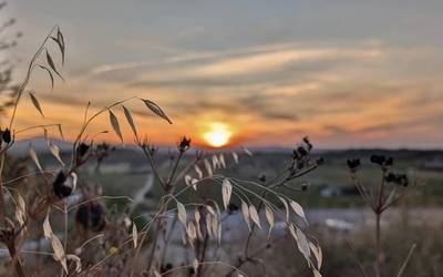 Oskarbi, eta bero handiarekin