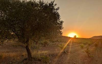 Dotoreziari eutsiko dio