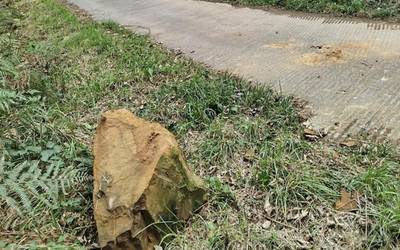 Harritzarra erori da Azulako bidera, eta arriskua sortu