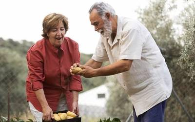 Belaunaldi erreleboari buruzko jardunaldia eginen dute irailaren 25ean Doneztebeko Juansenean