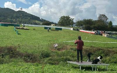 Artzain txakur onenak lehiatuko dira domekan