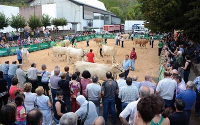 Behi-Azienda Piriniotarraren XXXVI. lehiaketa irailaren 27an eta 28an